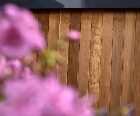 Garden Studio Cladding